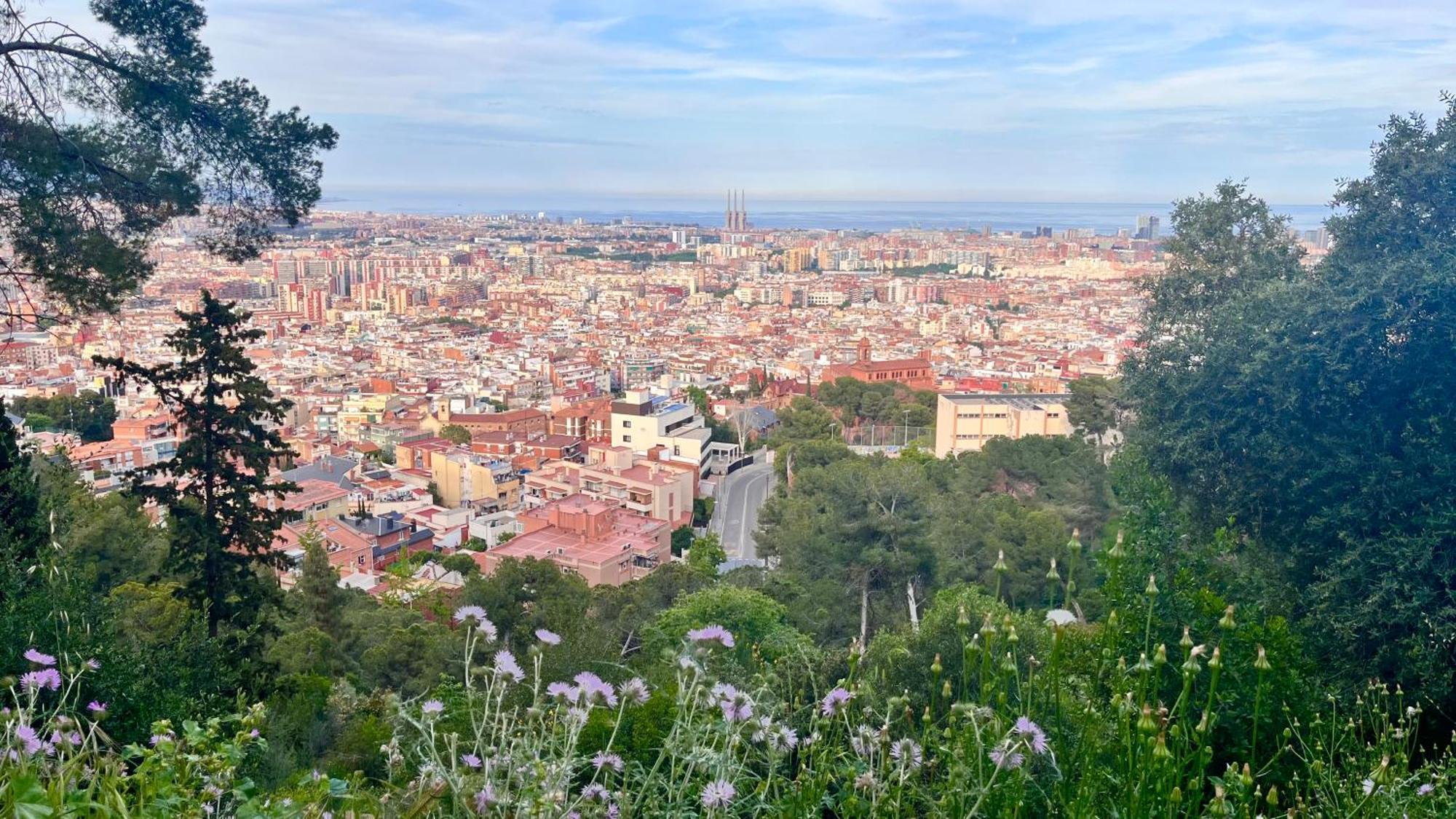 Perfect Place For Nature Lovers Apartment Barcelona