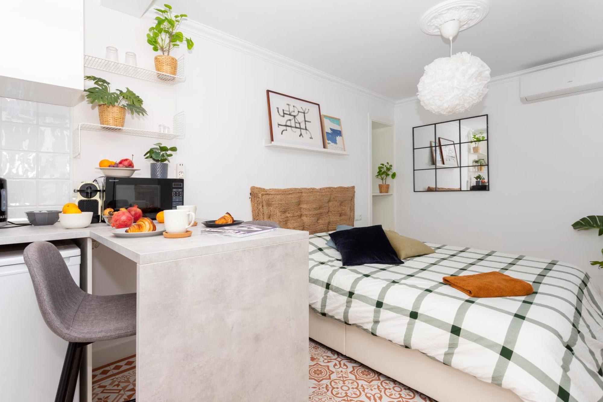 Modern Stylish & Barcelona