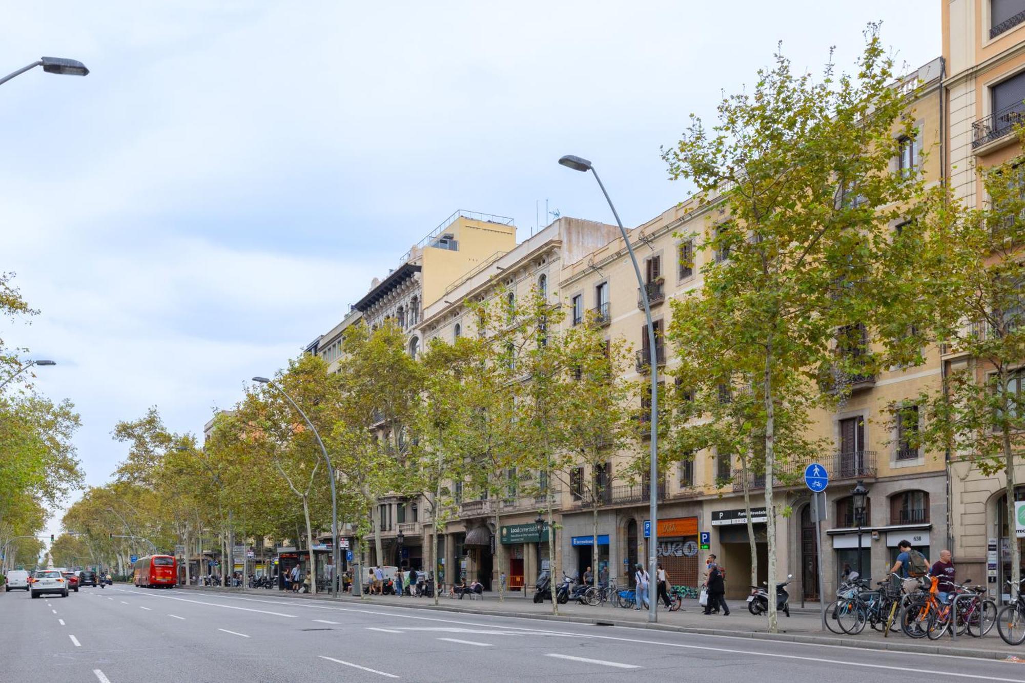 Paseo De Gracia Apartamento *