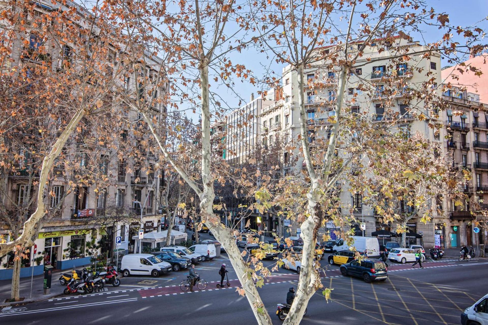Comte Urgell Apartamento *