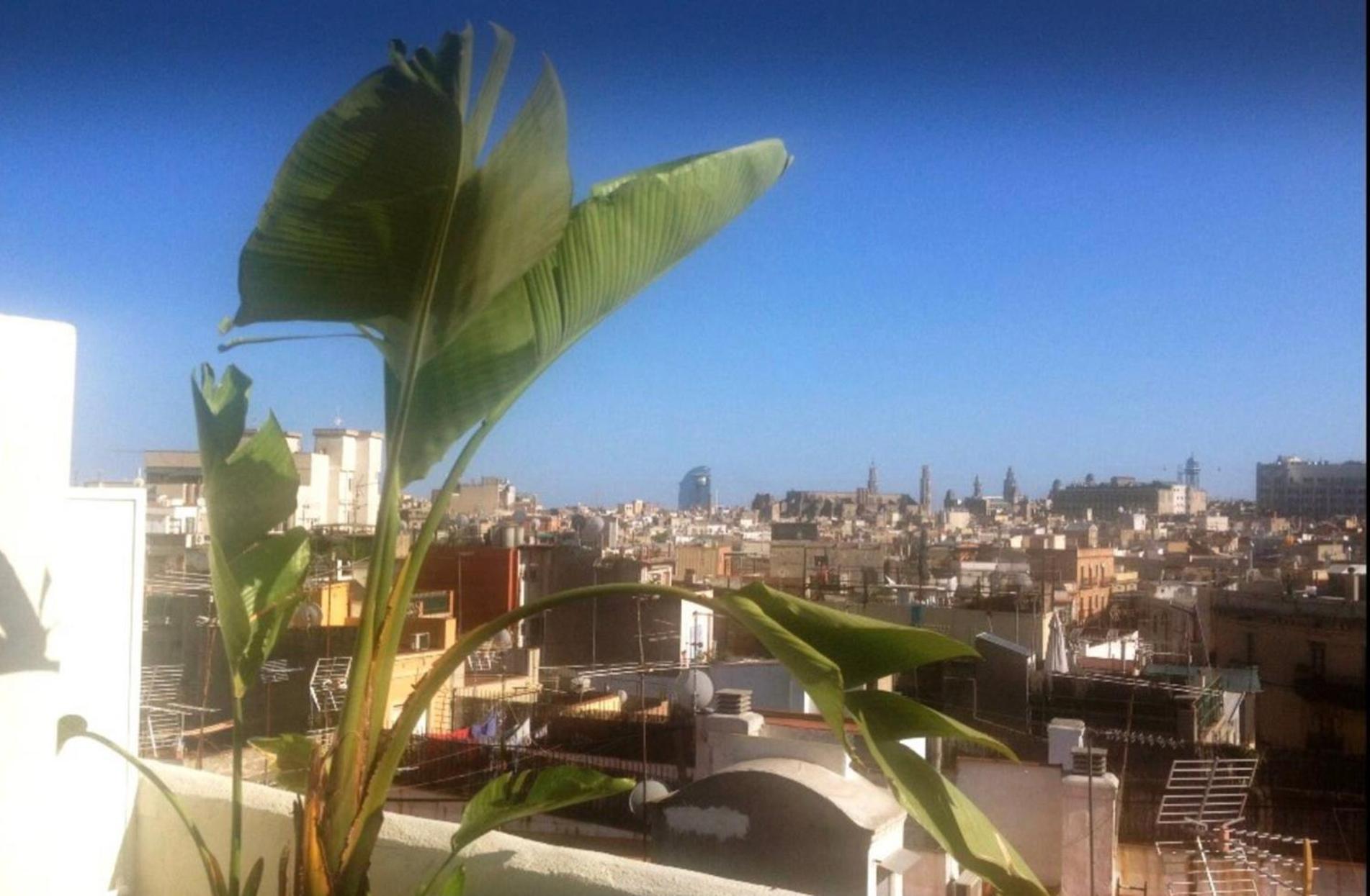 Outdoor Bathtub! 360 Rooftop With Chill Out And Amazing Views! Apartment Barcelona