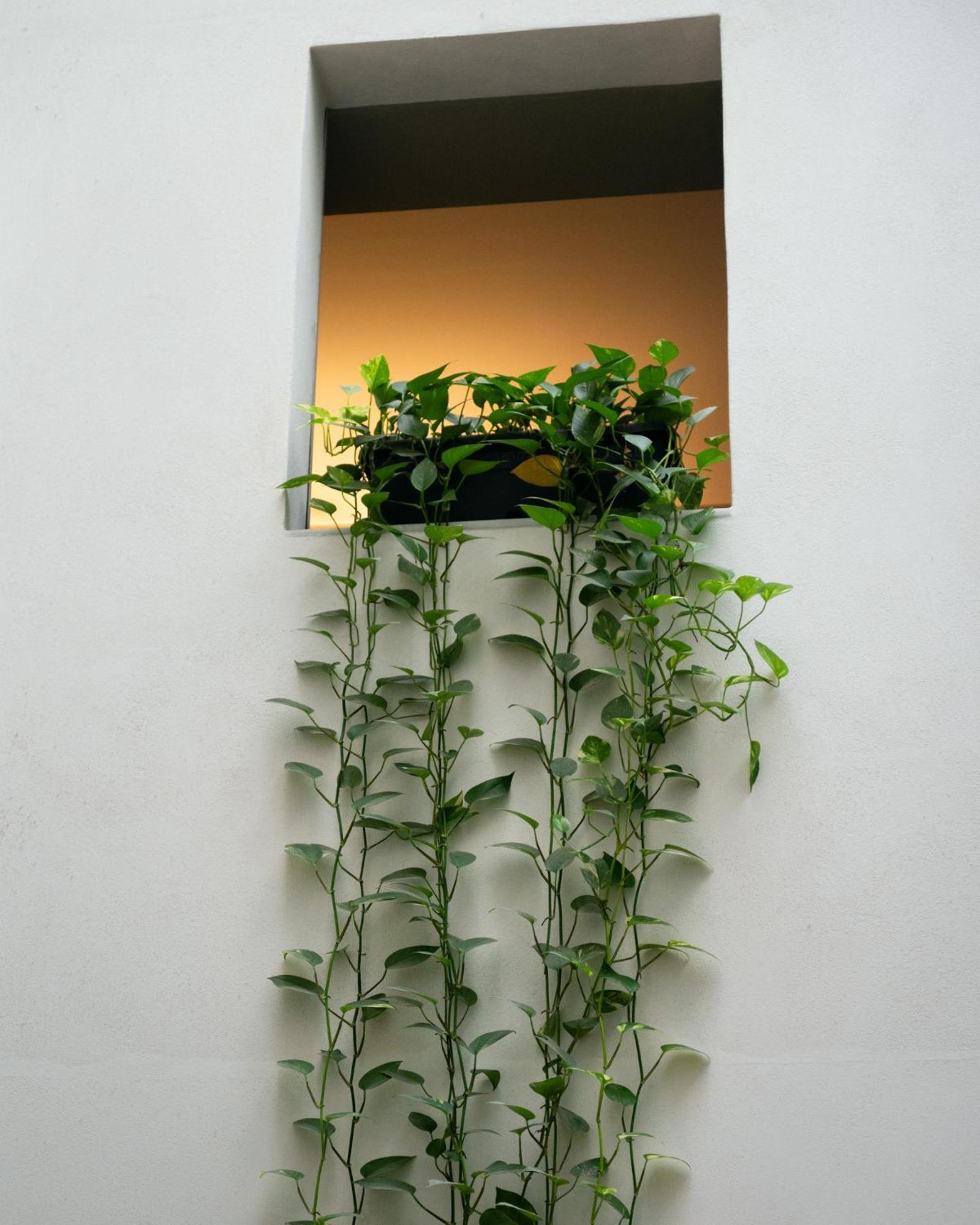 Ramblas Internacional Hotel