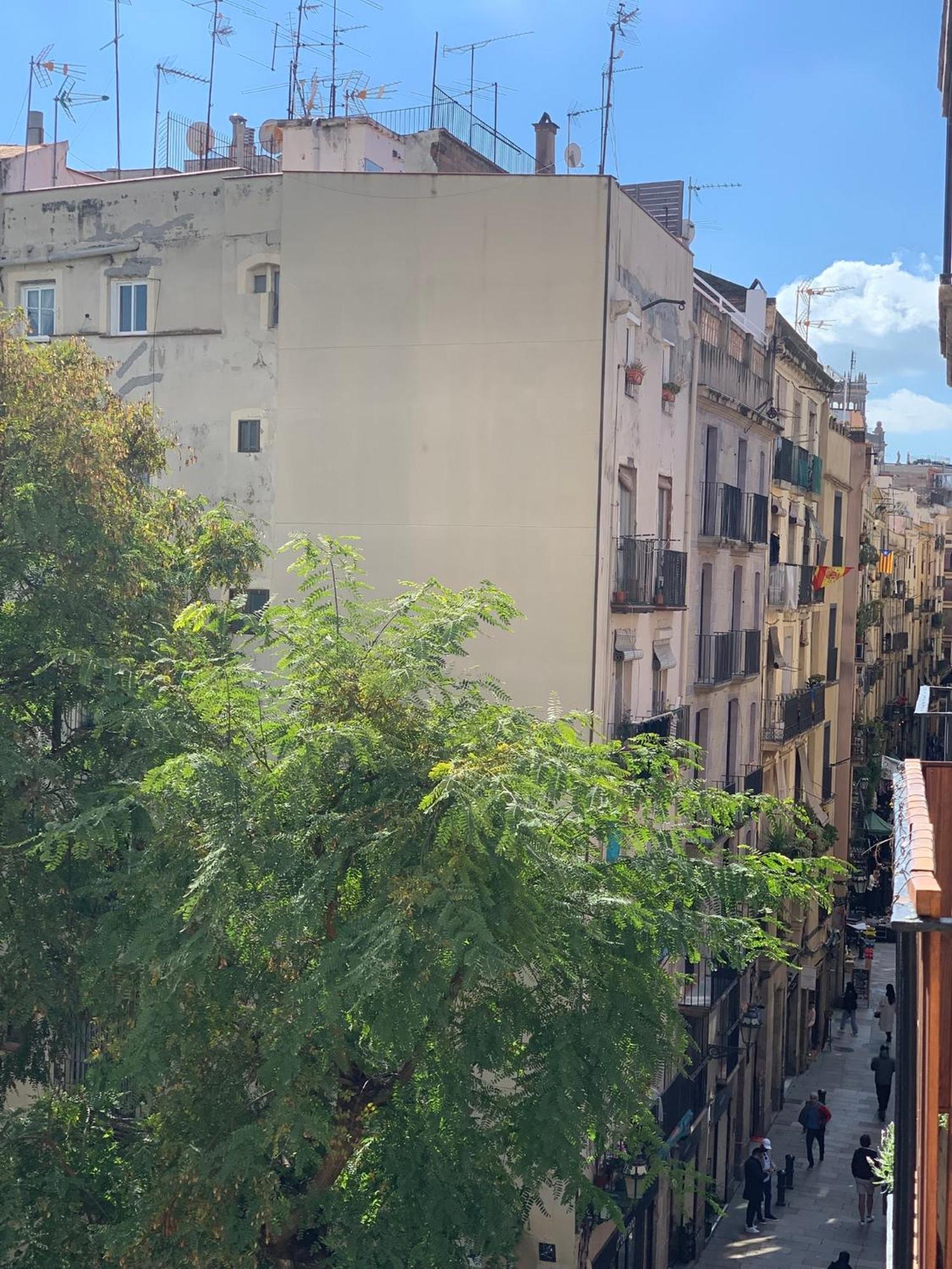 Cozy Becky Born Apartamento Barcelona