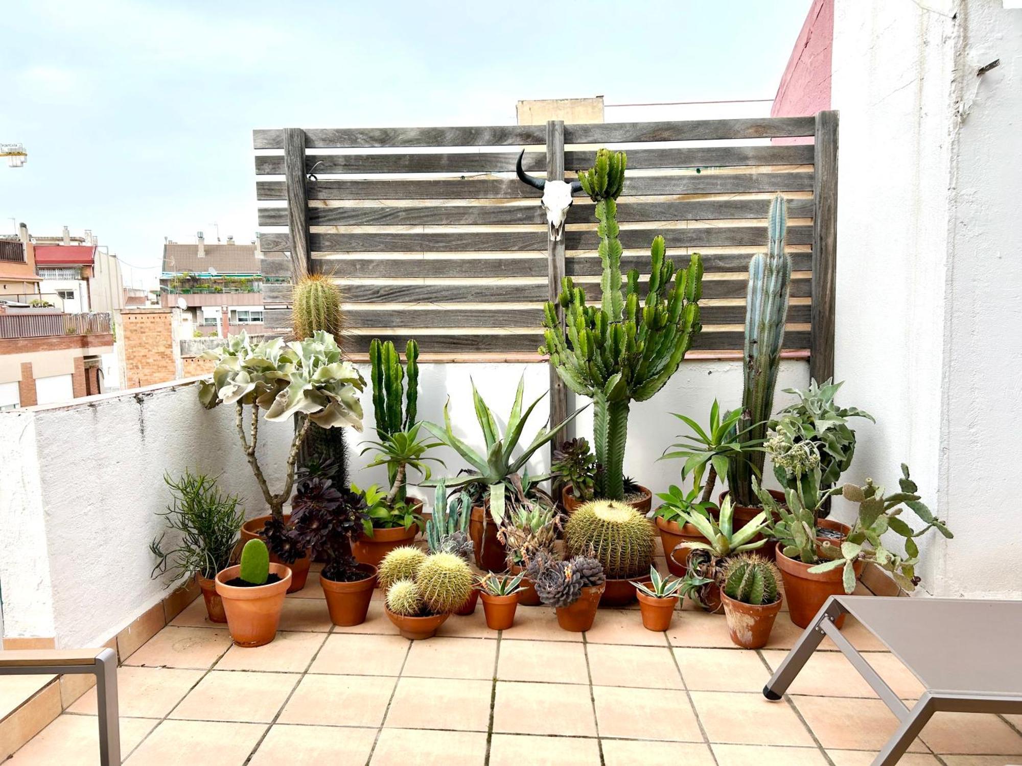 Atic Trobador Apartamento