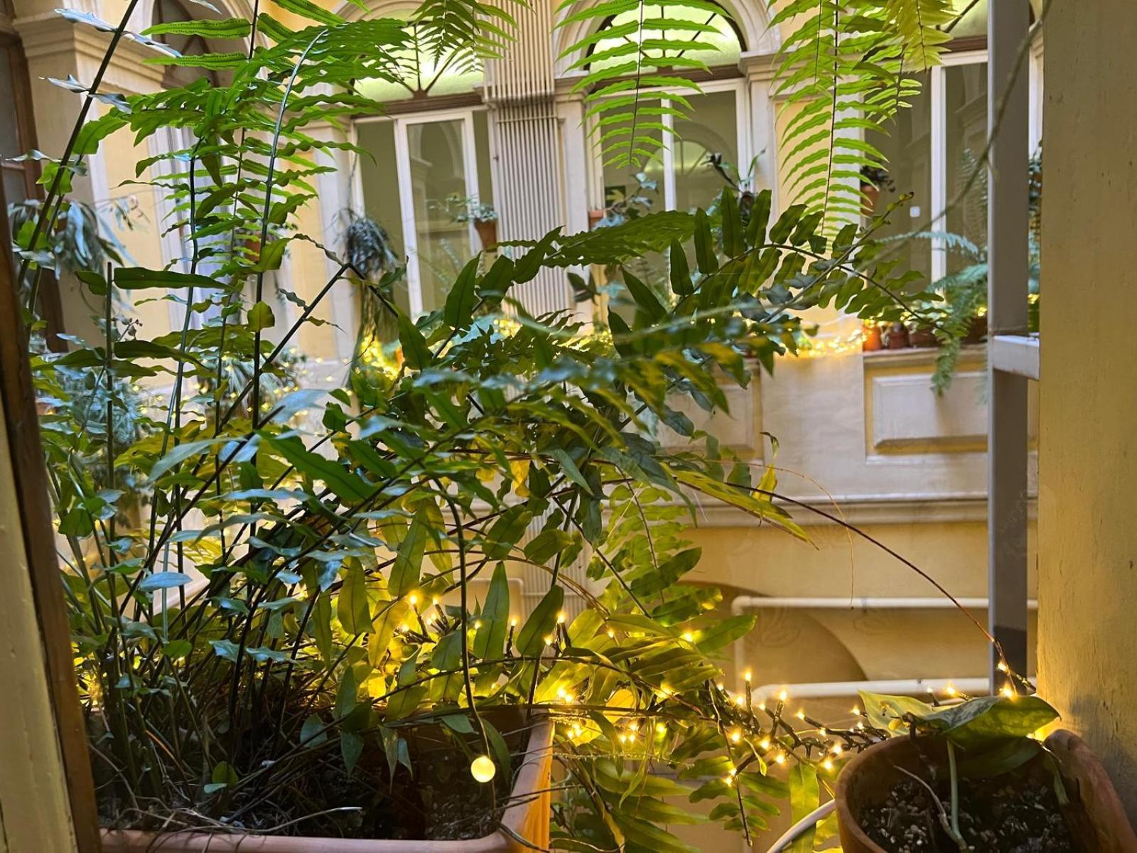 Plaza Goya Guest house