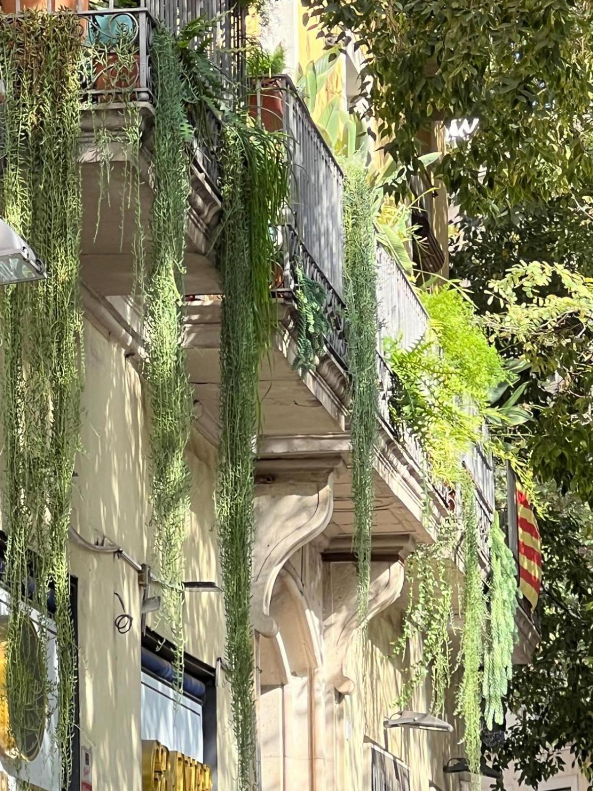 Guest house Plaza Goya Barcelona
