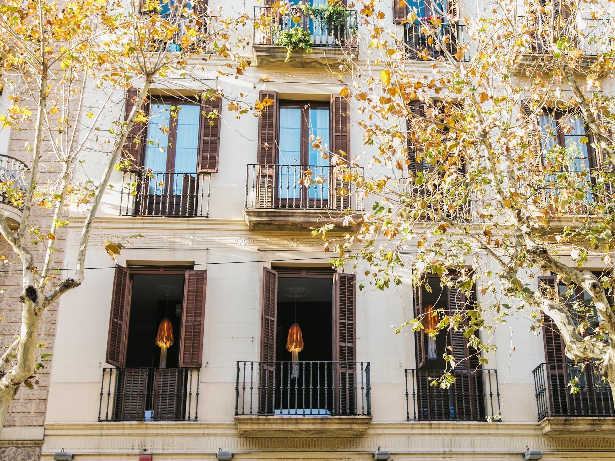 Zoo Boutique Pensión Barcelona