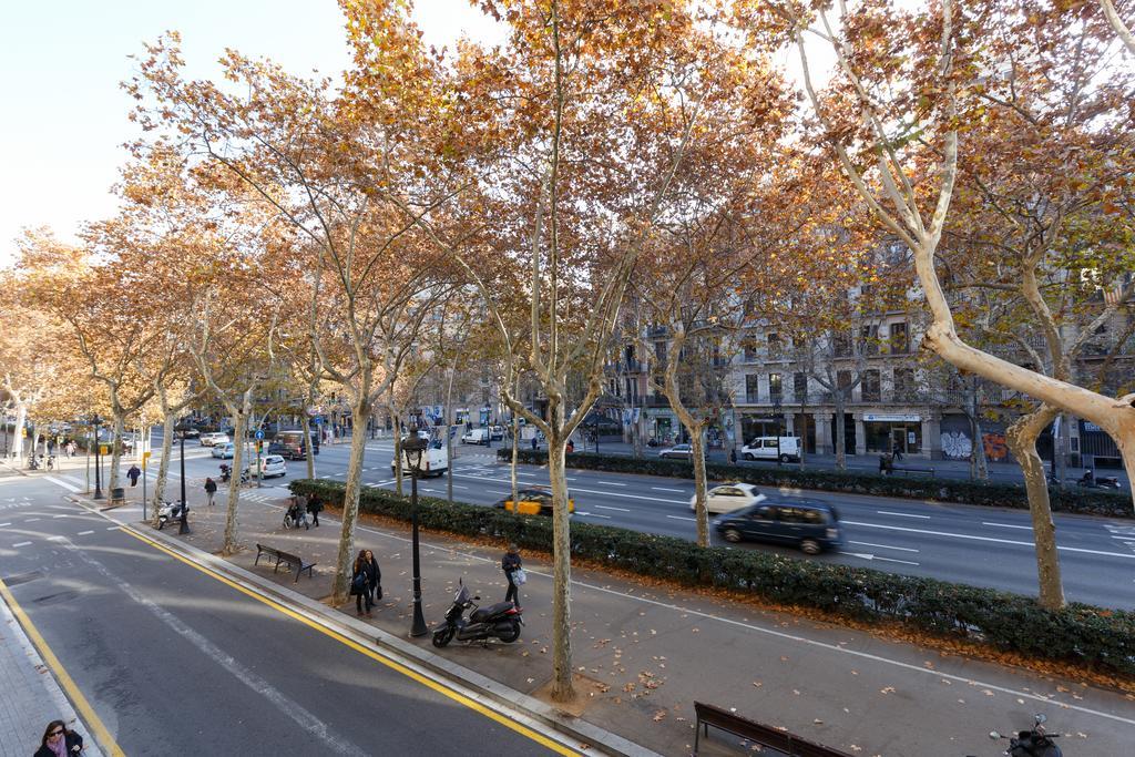 Alcam Classic Barcelona