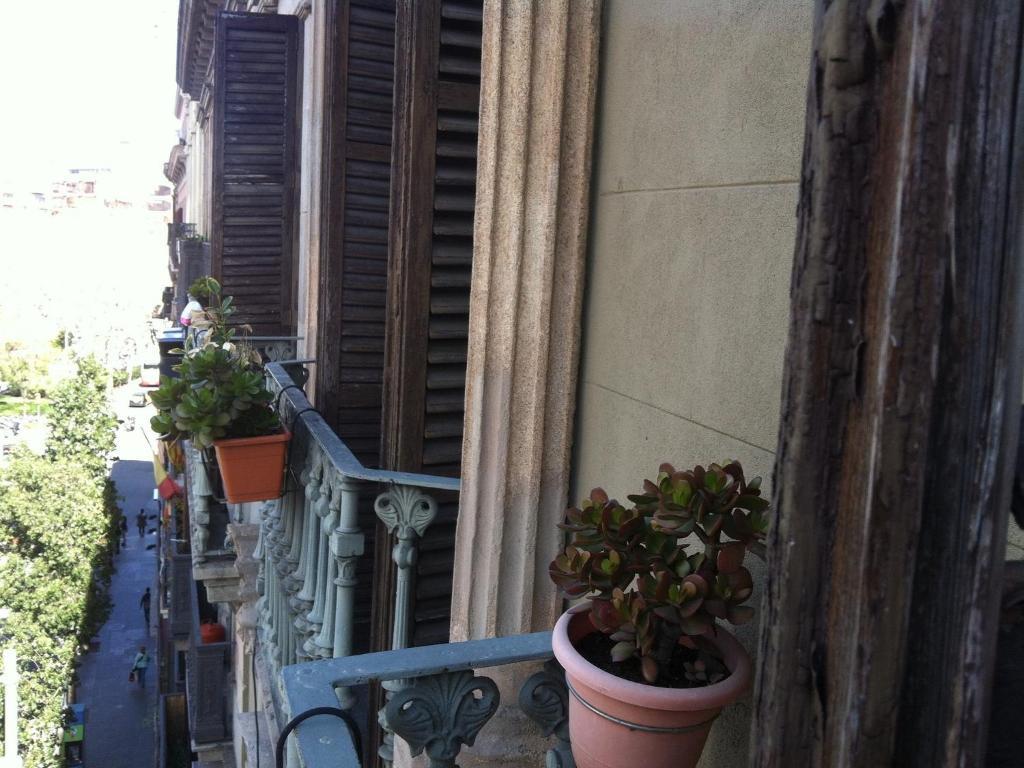 Guest house Aris