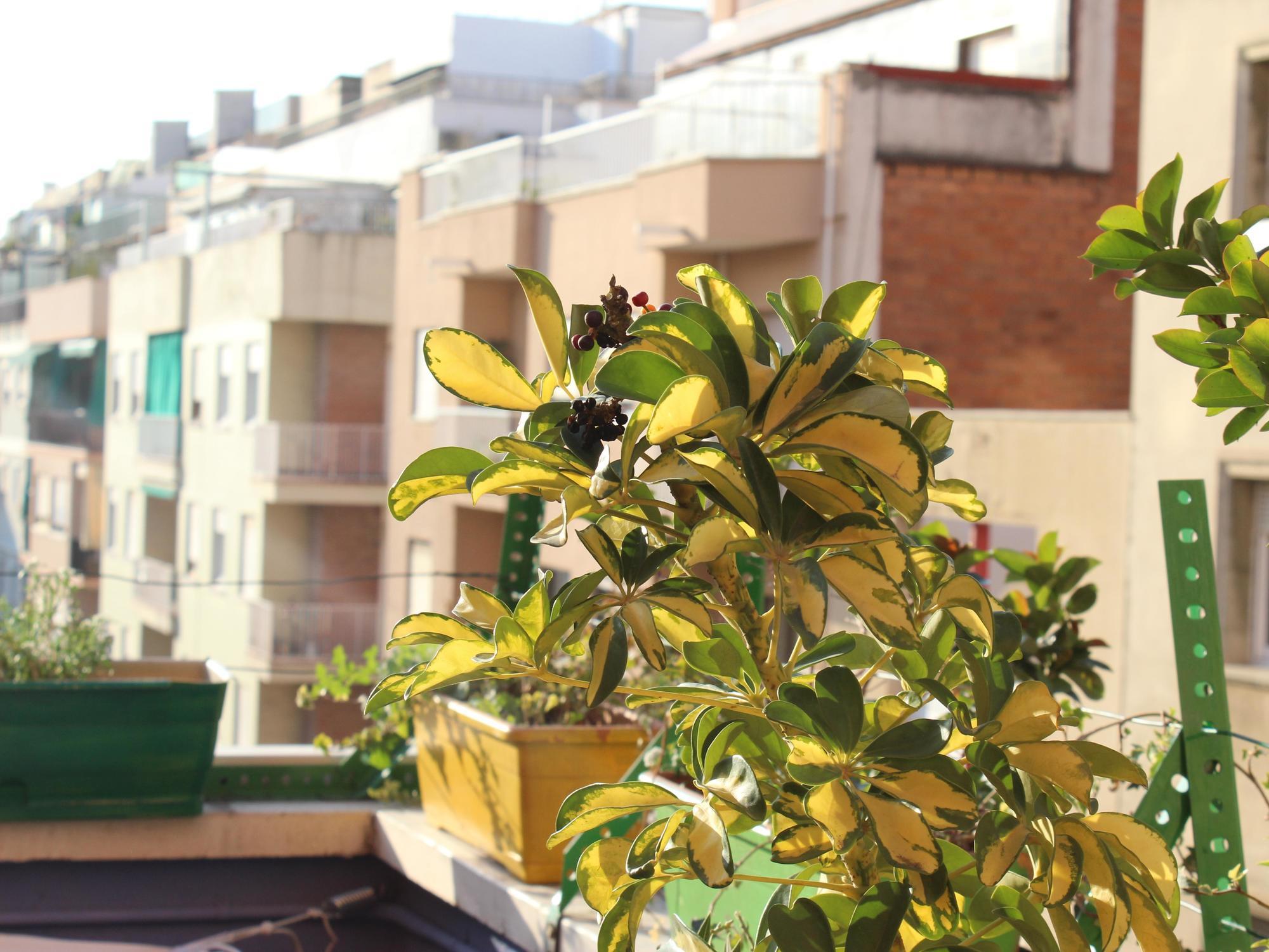 Onefam Sants Hostel Barcelona