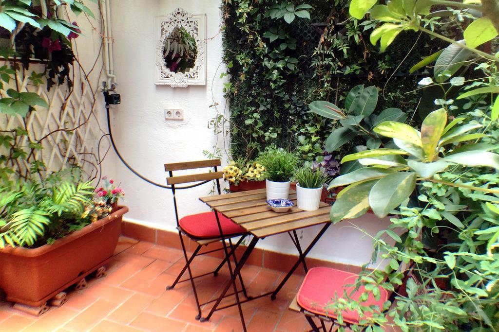 Casa Tortilla Gracia Apartment