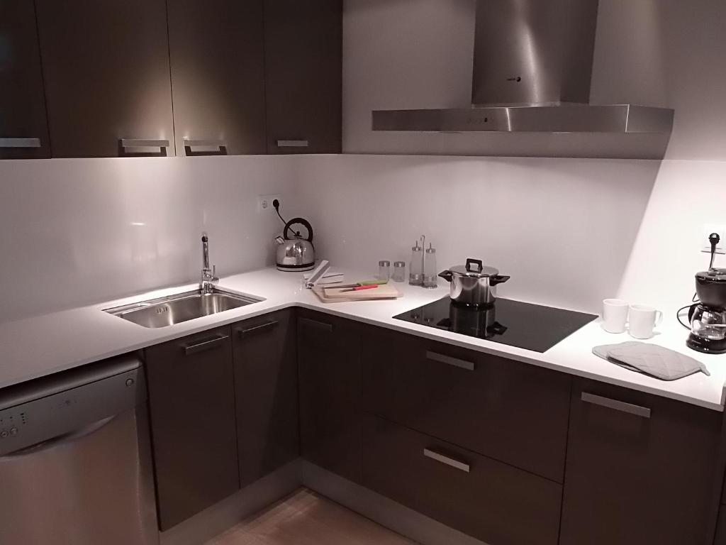 555 Bcn Apartment Barcelona