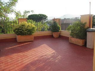 Garden House By Feetup * Barcelona