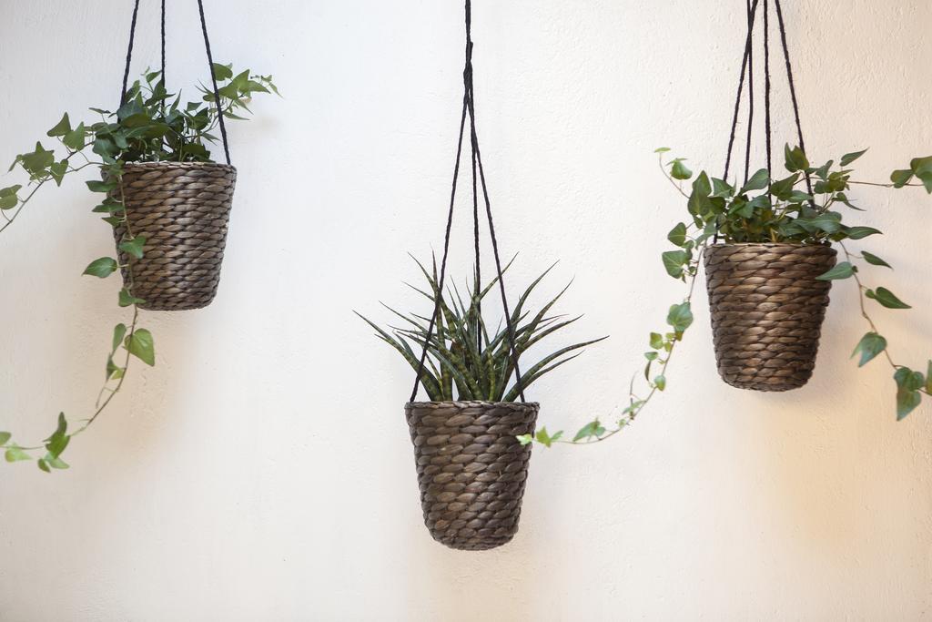 Eco Boutique Grau Barcelona
