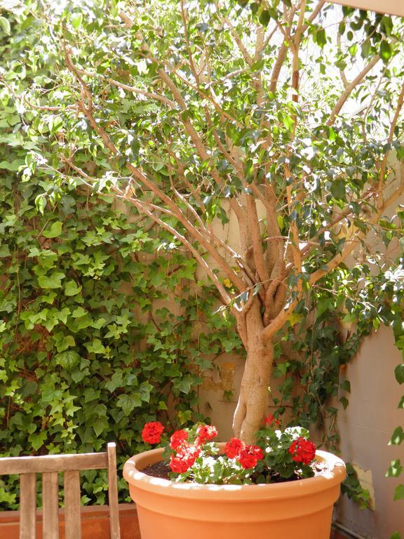 Apartamento Suitur Courtyard Barcelona