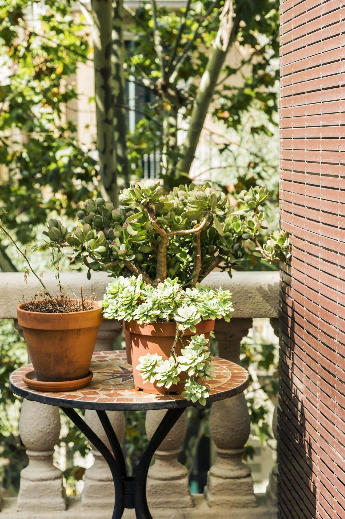 Bed and breakfast La Casa Gran 3*