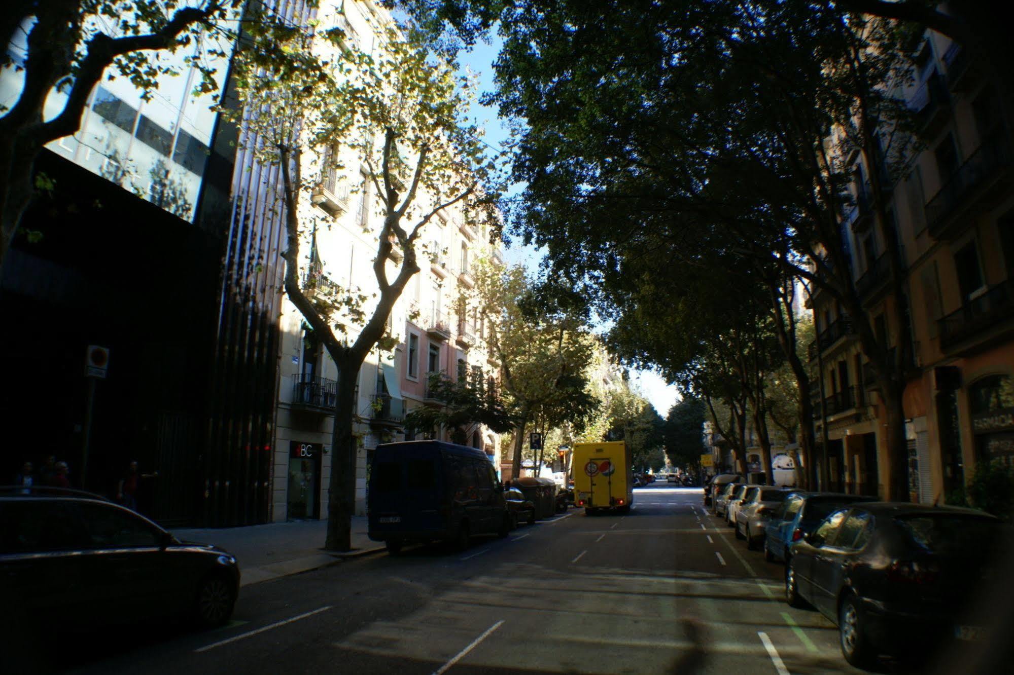 Flateli Borrell
