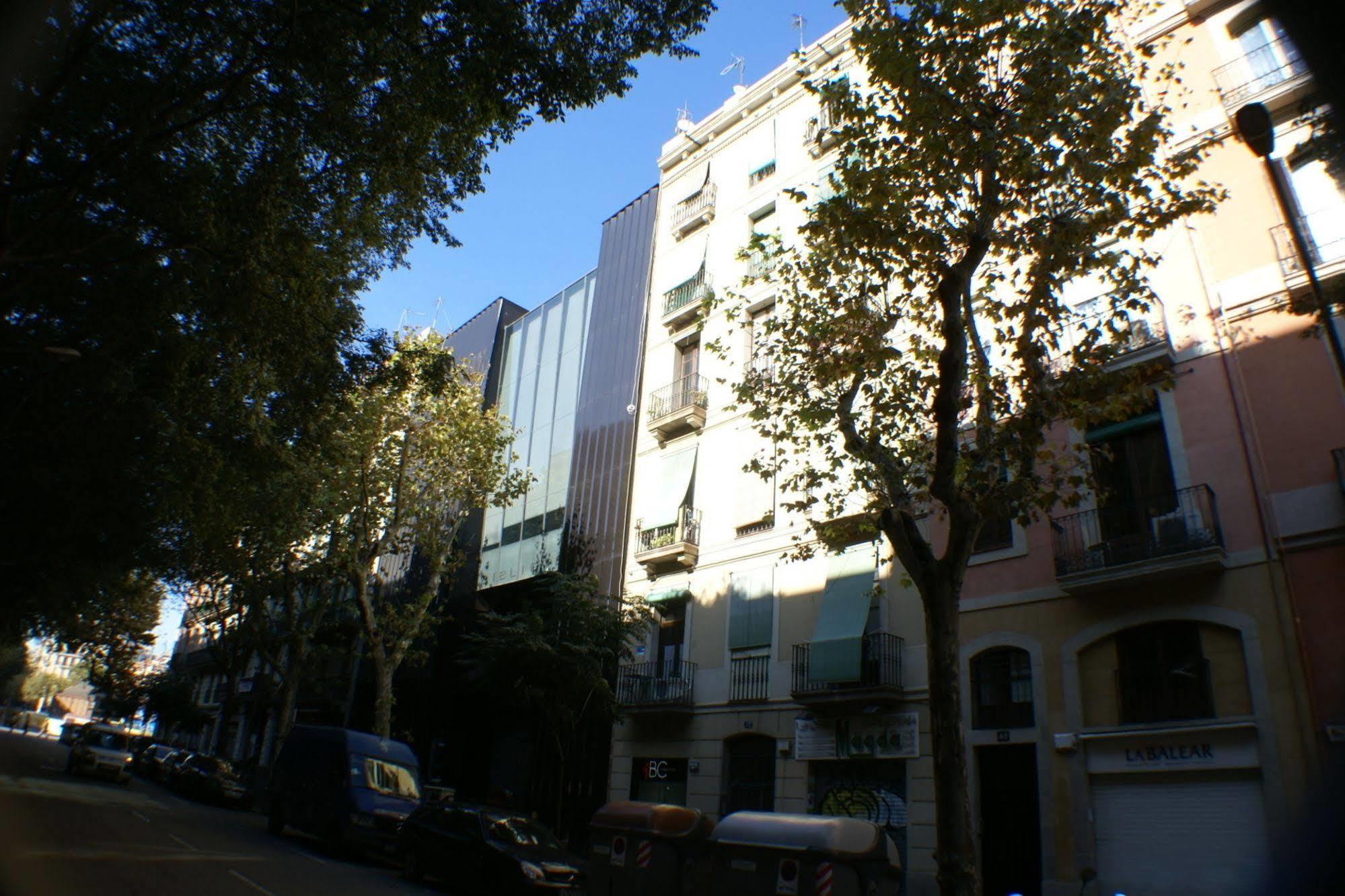 Flateli Borrell