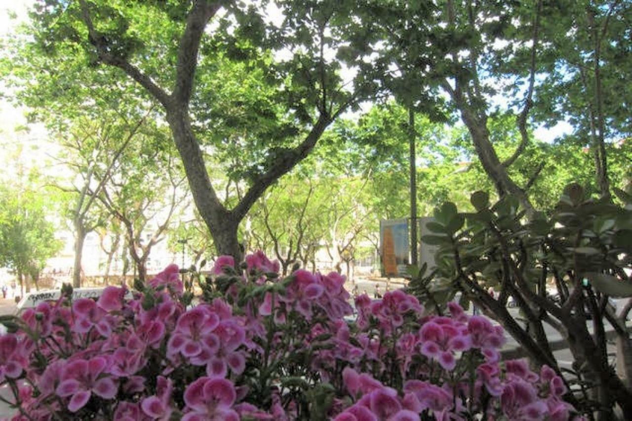 Apartamento Sant Antoni Lovely *