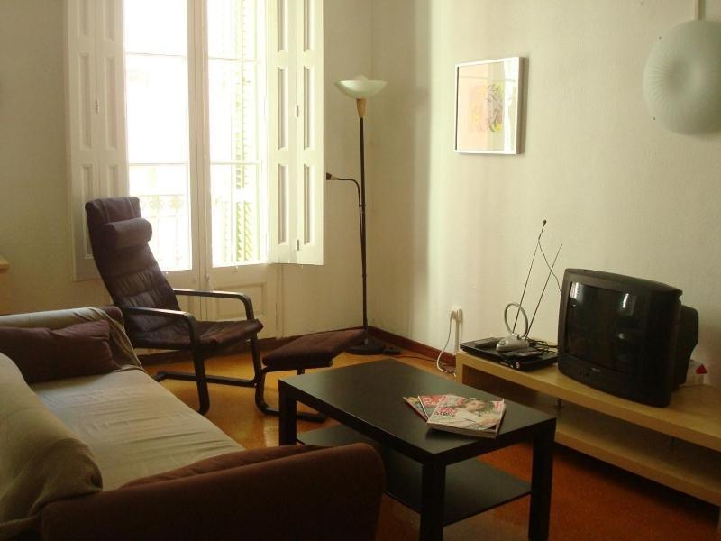 Aapartments In Center * Barcelona