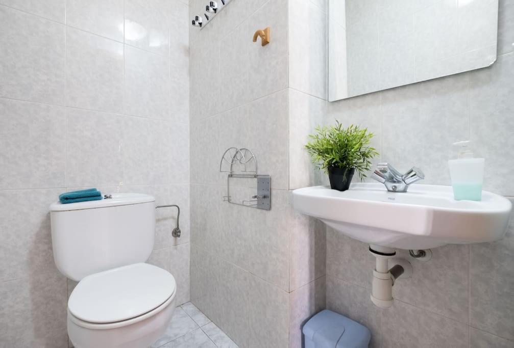 Apartment 6 Pax Duplex Penthouse Las Ramblas Barcelona Barcelona