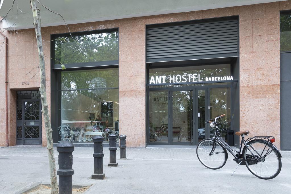 Ant *