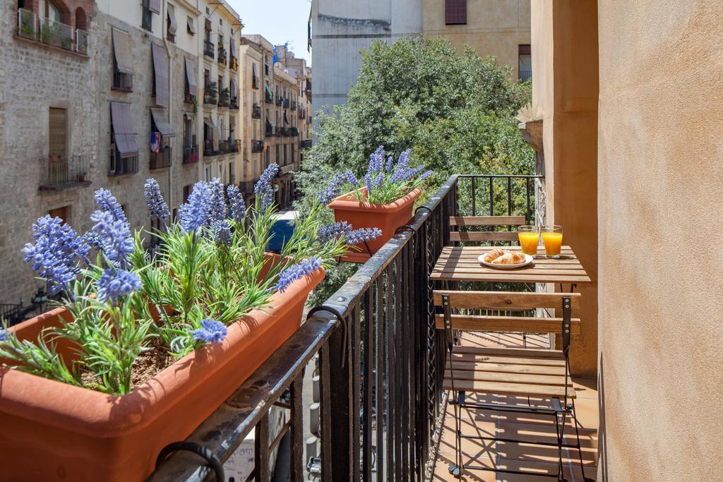 Habitat Carders Barcelona