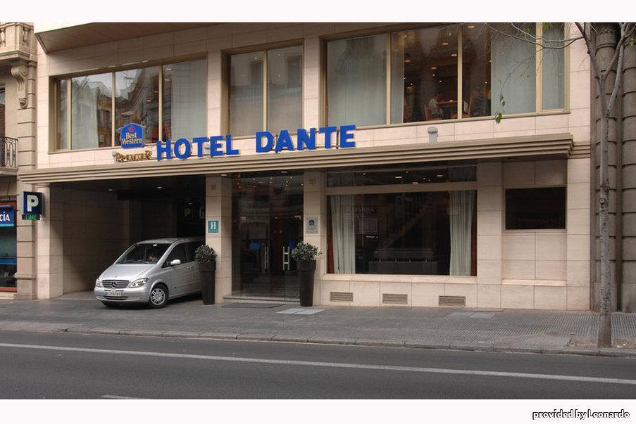 Western Premier Dante