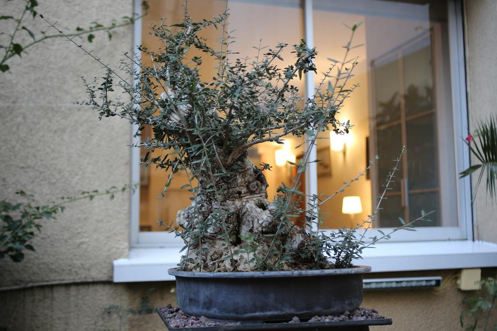 Hotel Silver 3*
