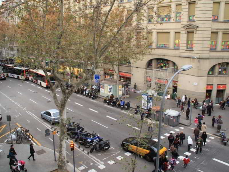 Paraiso Hostal