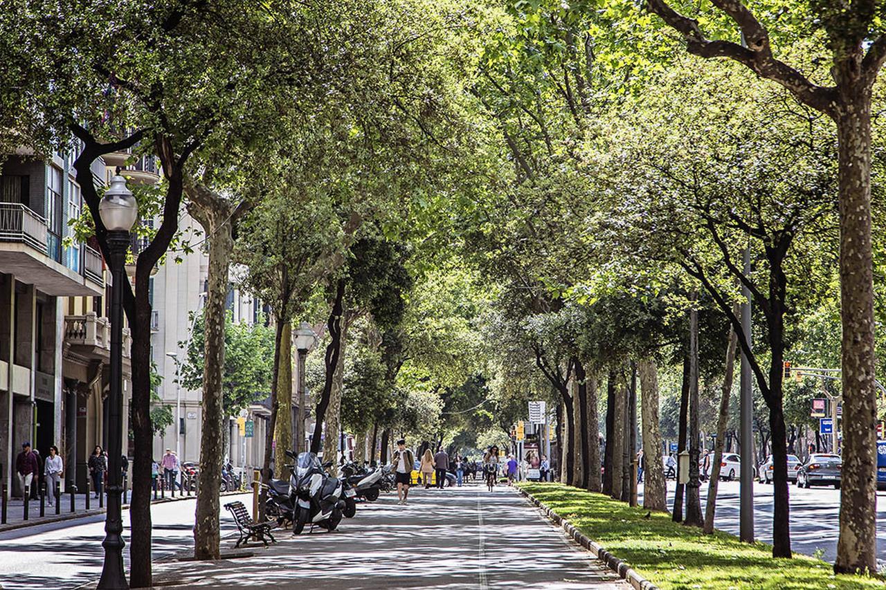 Apartamento Sweet Inn - Bailen Barcelona