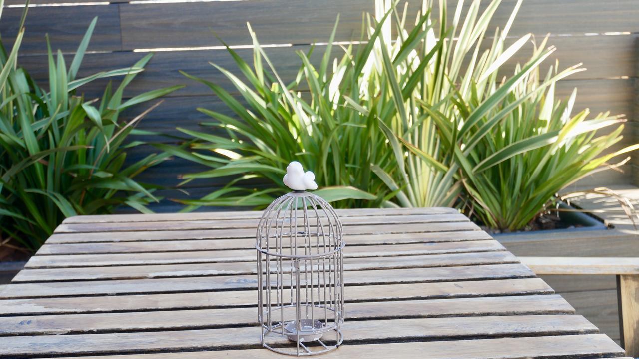 Hostel Bird House Barcelona