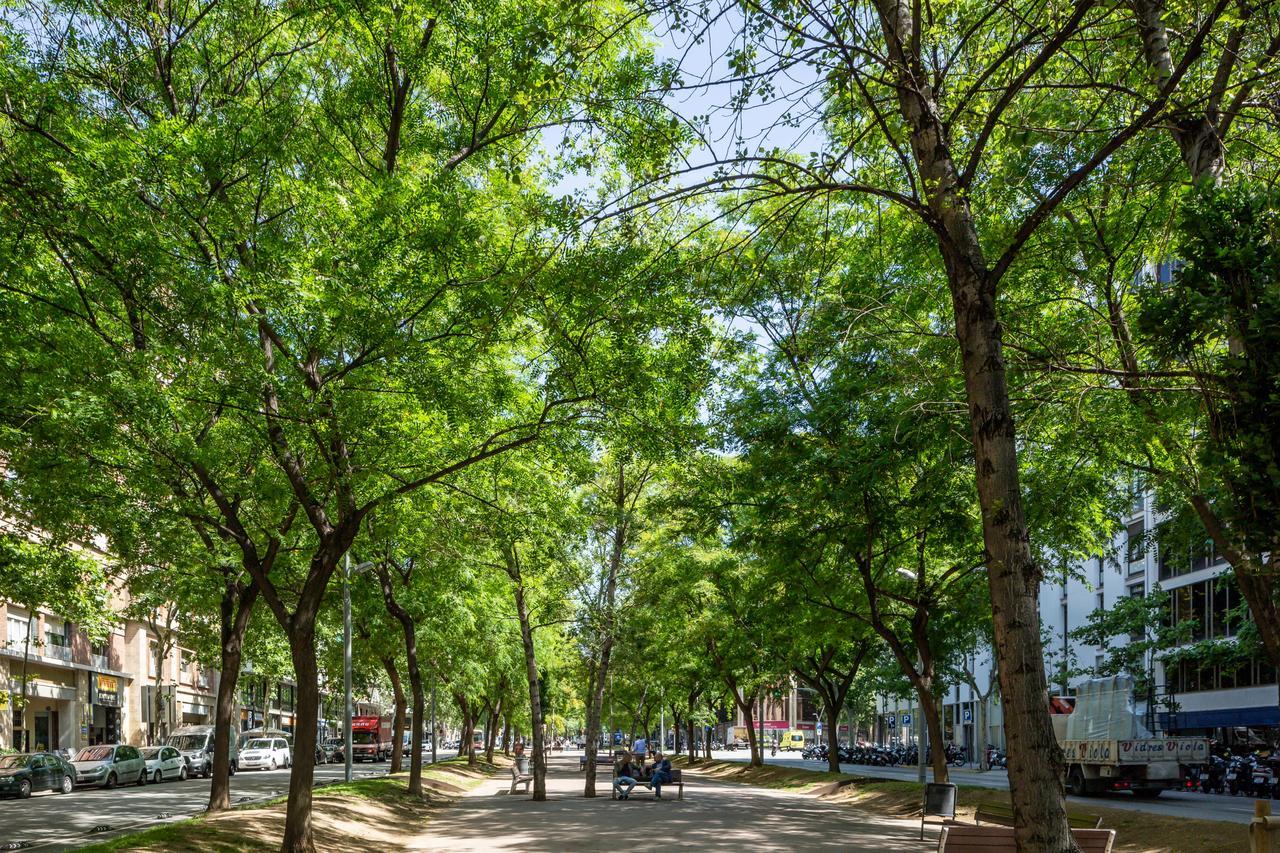 Apartamento Link Bcn Sants Barcelona