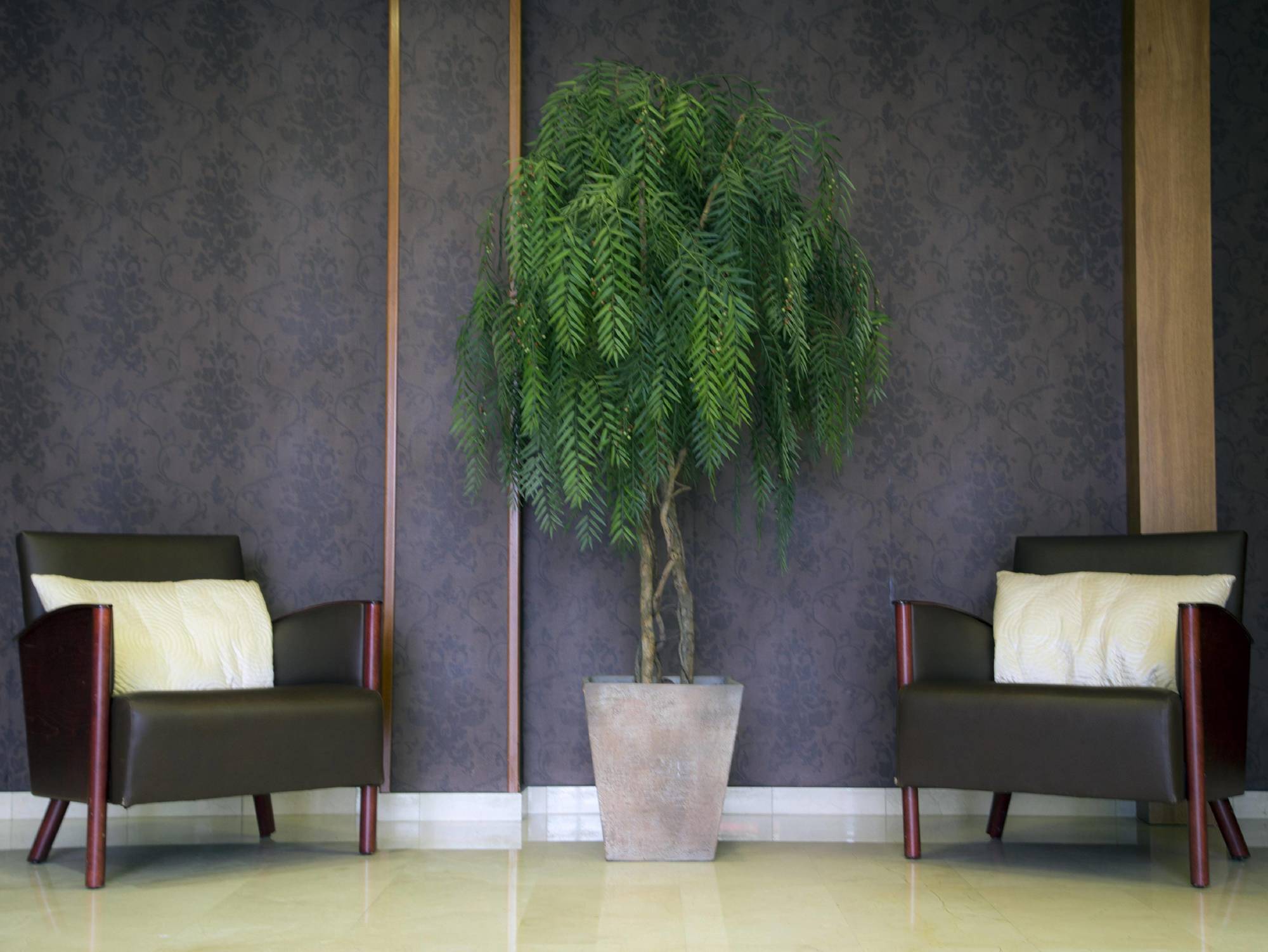 Bcn Urbaness Del Comte Hotel 2*