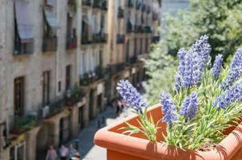 Apartamento Habitat Carders