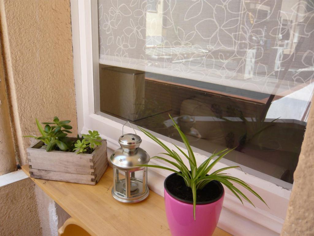 Conde Güell Apartamento