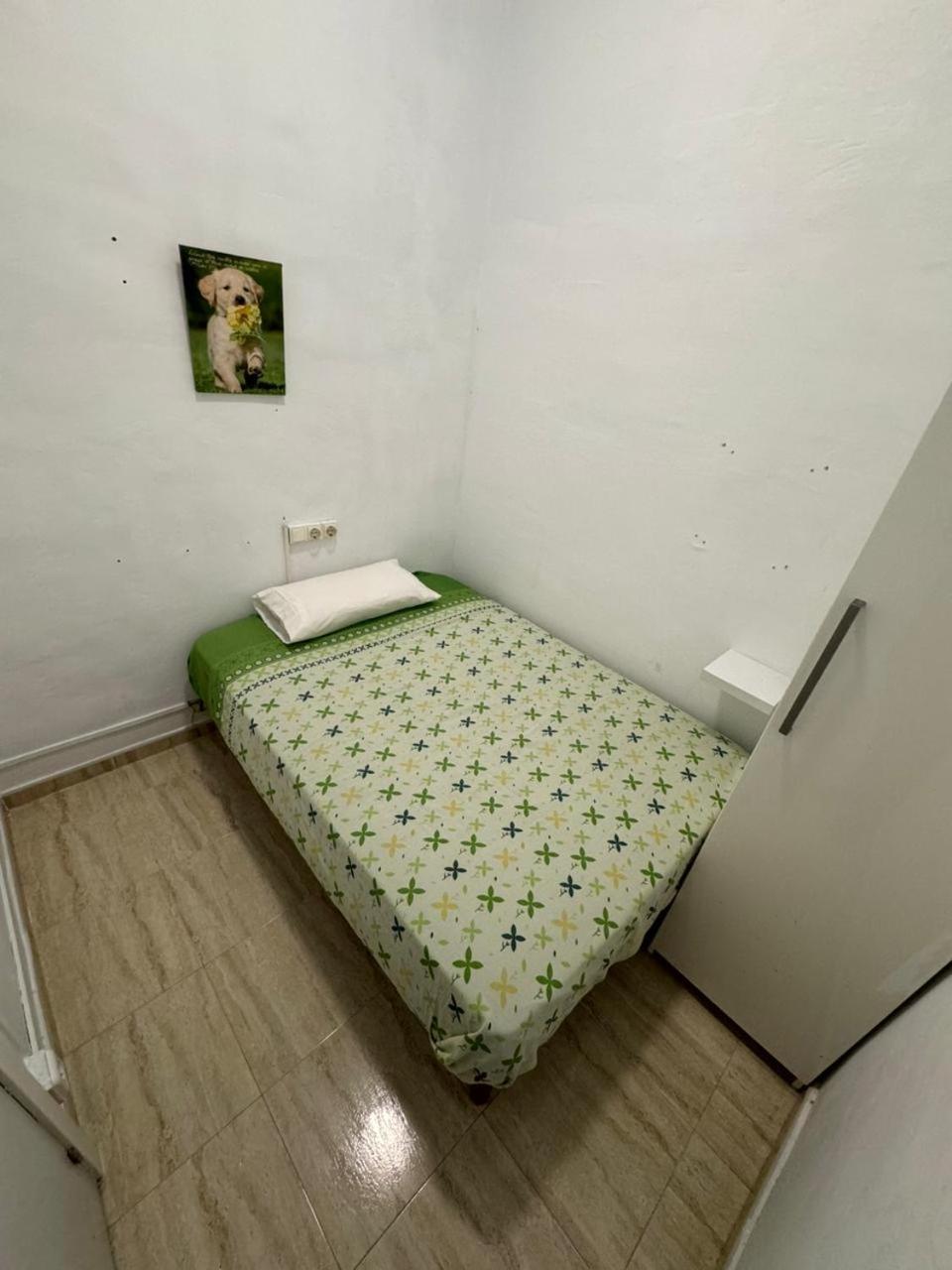 Campo de lujo San Rafael Barcelona