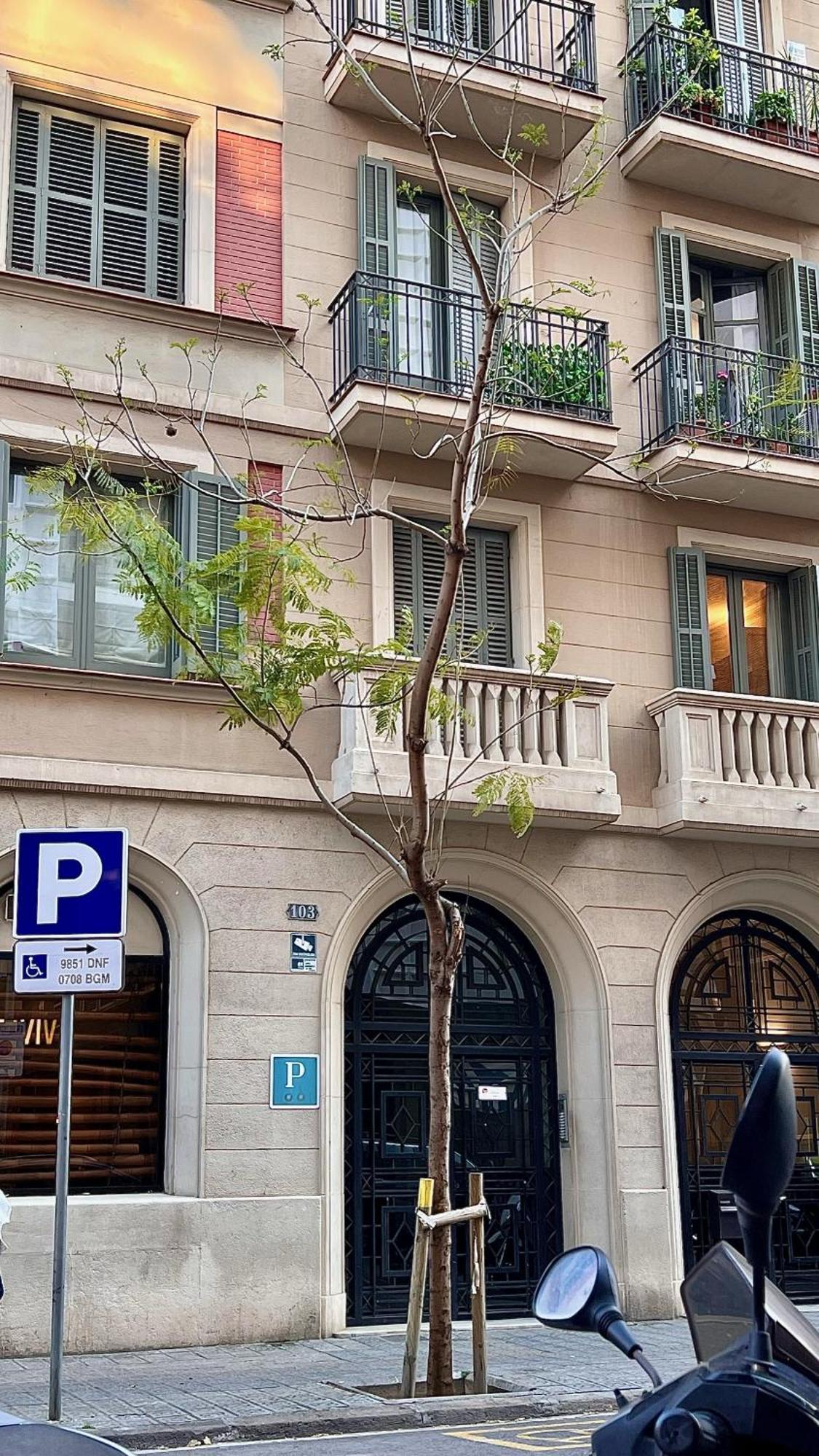 Madrazo 2* Barcelona
