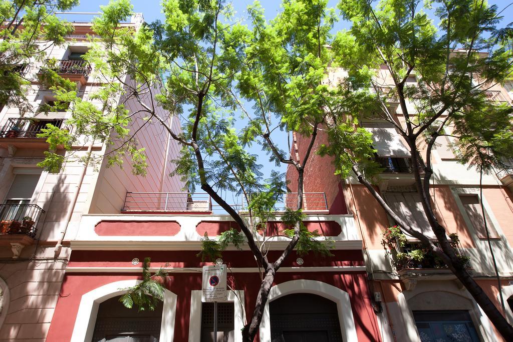 Zenbcn * Barcelona