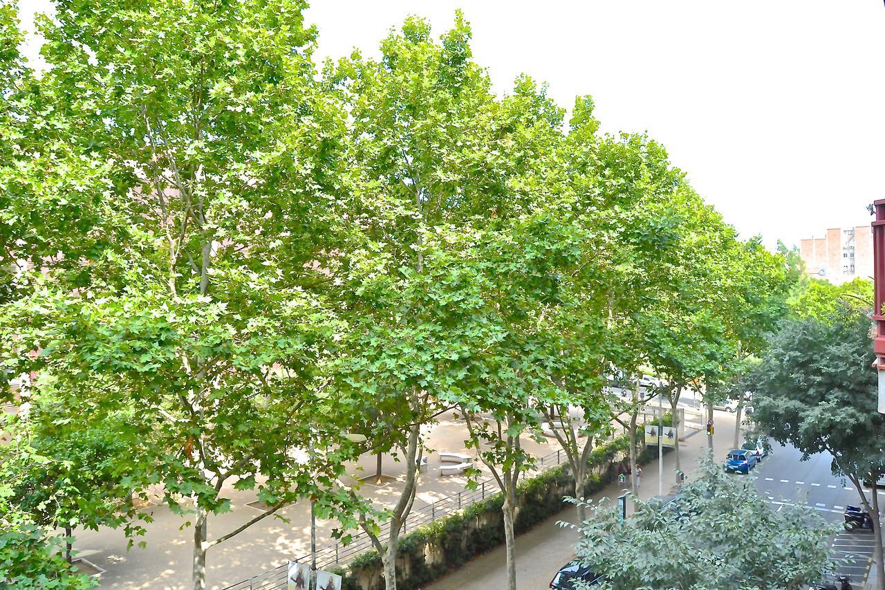 Auditori * Barcelona